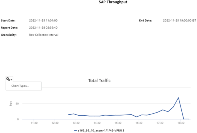 SAP Throughput report