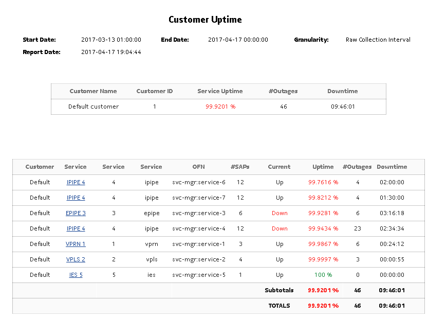 Customer Uptime Summary report