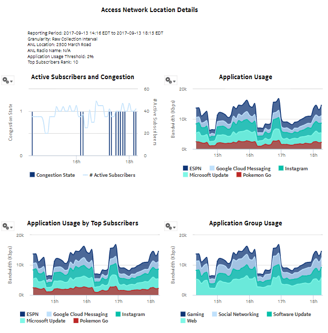 Subscriber and Usage Details for Selected Access Network Location report