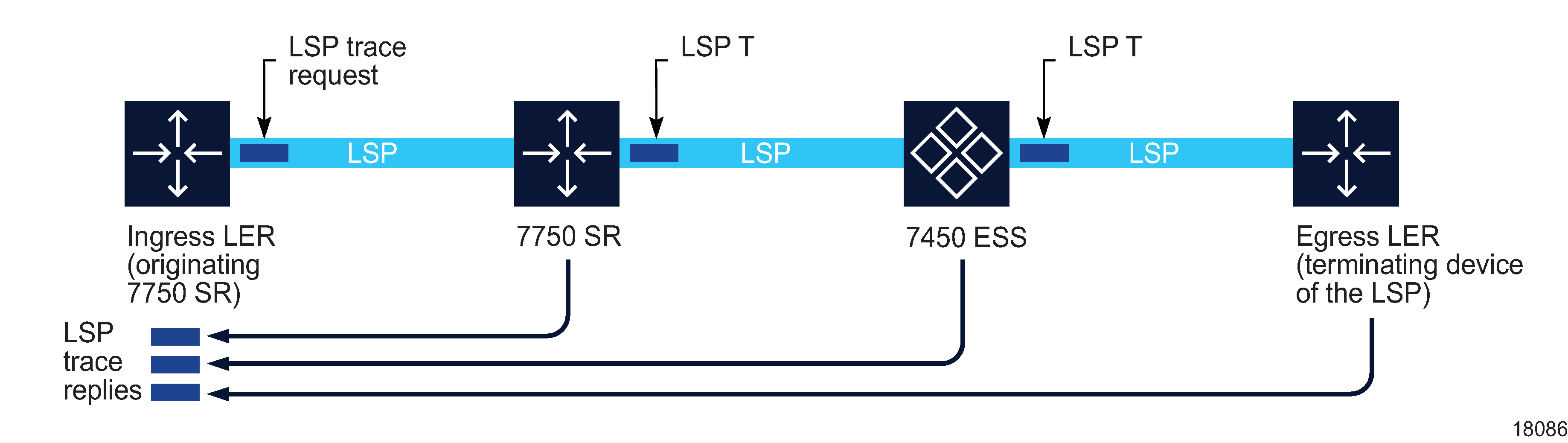 LSP Trace diagnostic test