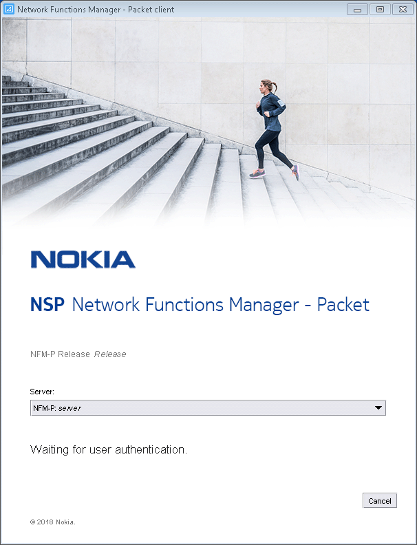Network Functions Manager - Packet client