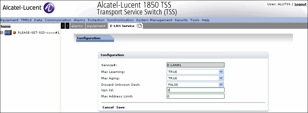 Create E-LAN service