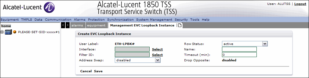 EVC Instance Management