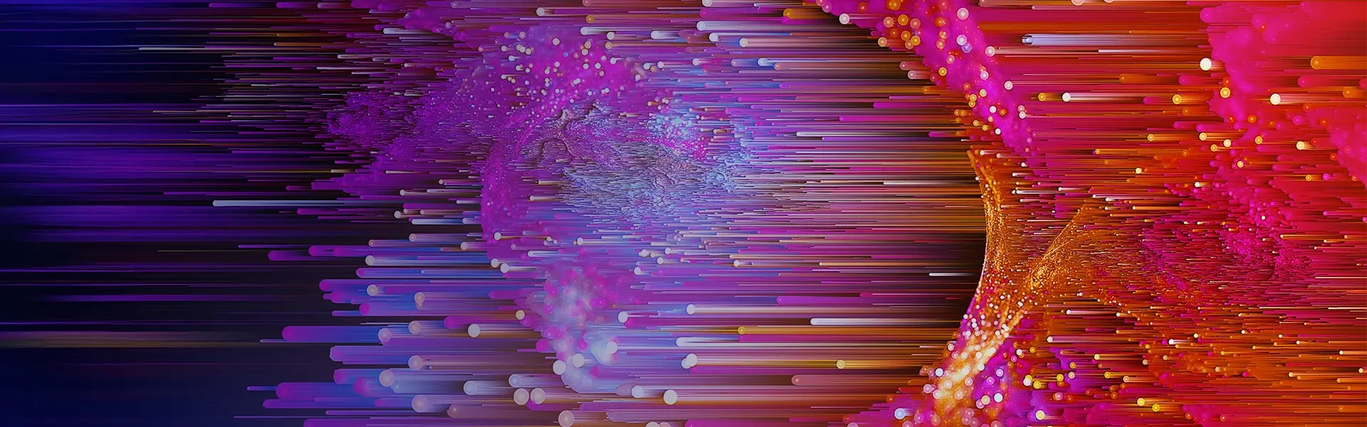 Infinera Support