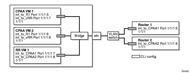 vCPAA bridge interface model deployment