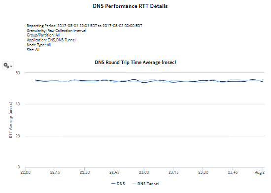 DNS Performance RTT Details report