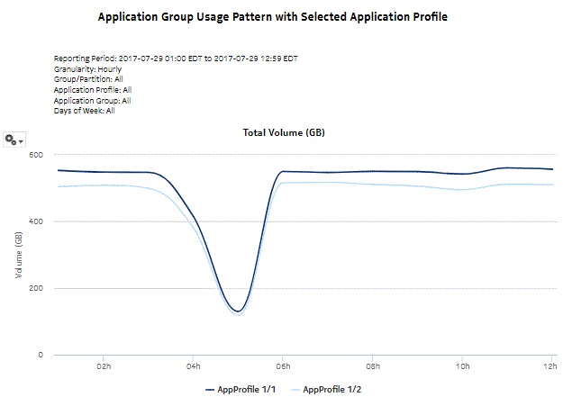 Application Group Usage Pattern with Selected Application Profiles report