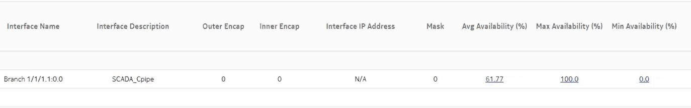 Ports and Interfaces Availability Summary report