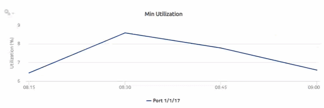 Ports and Interfaces Utilization Details report