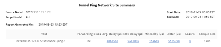 Tunnel Ping Network Site Summary report