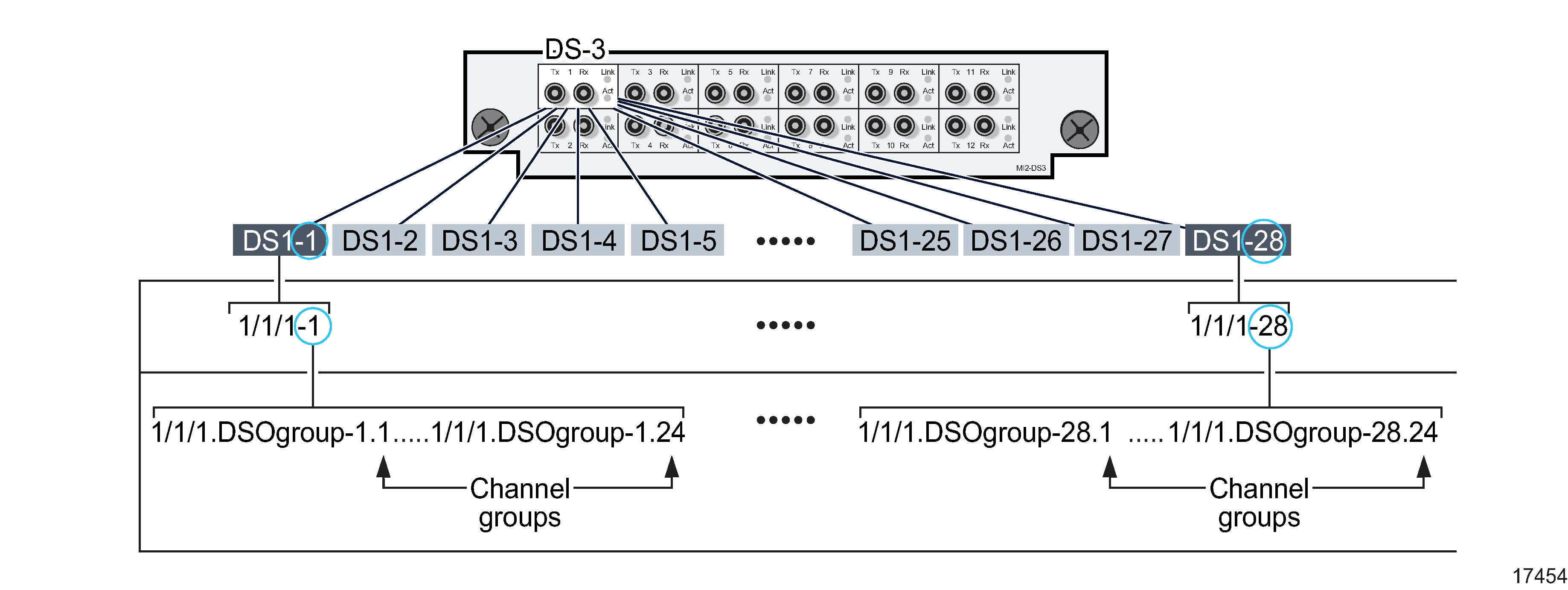 Channelized 12 × DS3 port structure for DS1 Channels
