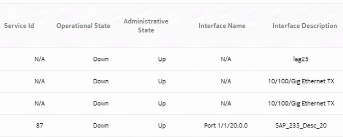 Ports and Interfaces Forwards and Discards per Queue Summary report