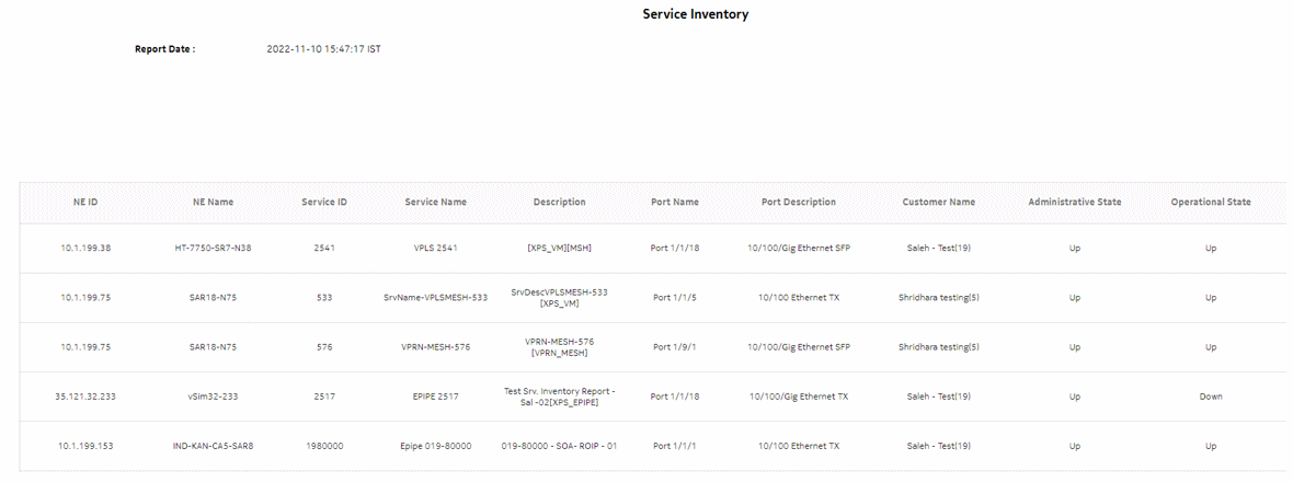 Service Inventory report