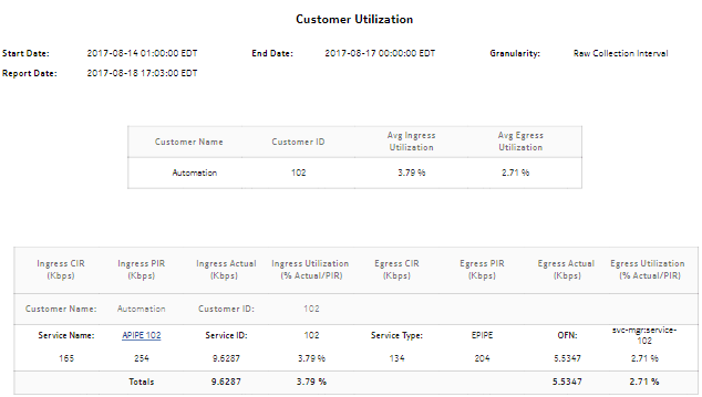 Customer Utilization Summary report