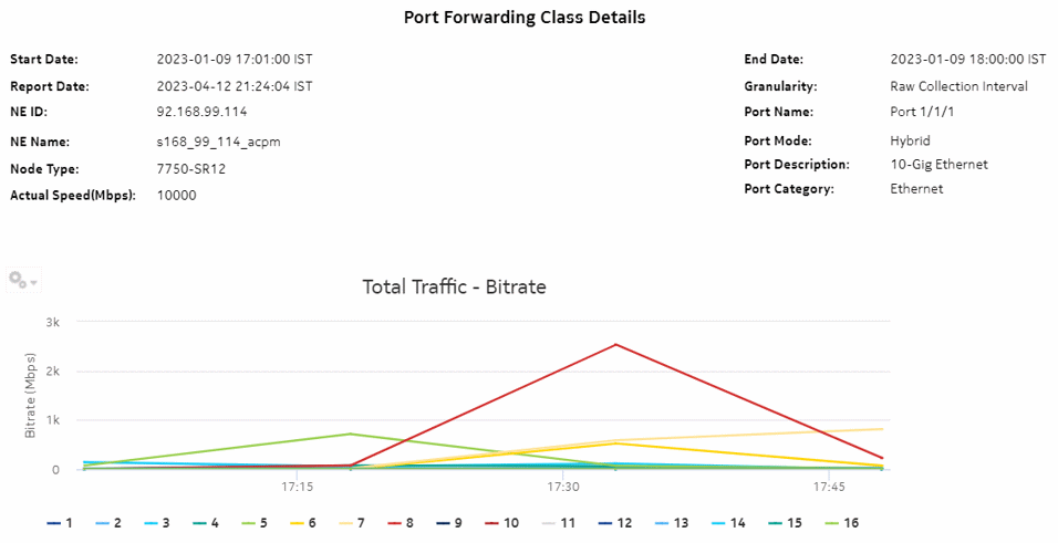 Port Forwarding Class Details report