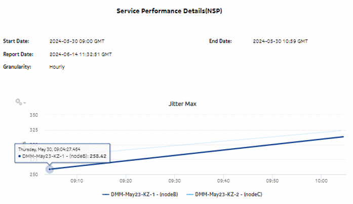 Service Performance Details (NSP) report