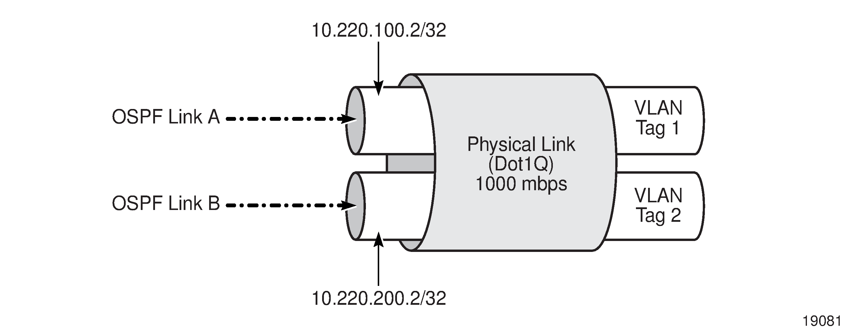 Multiple interfaces on the same physical link