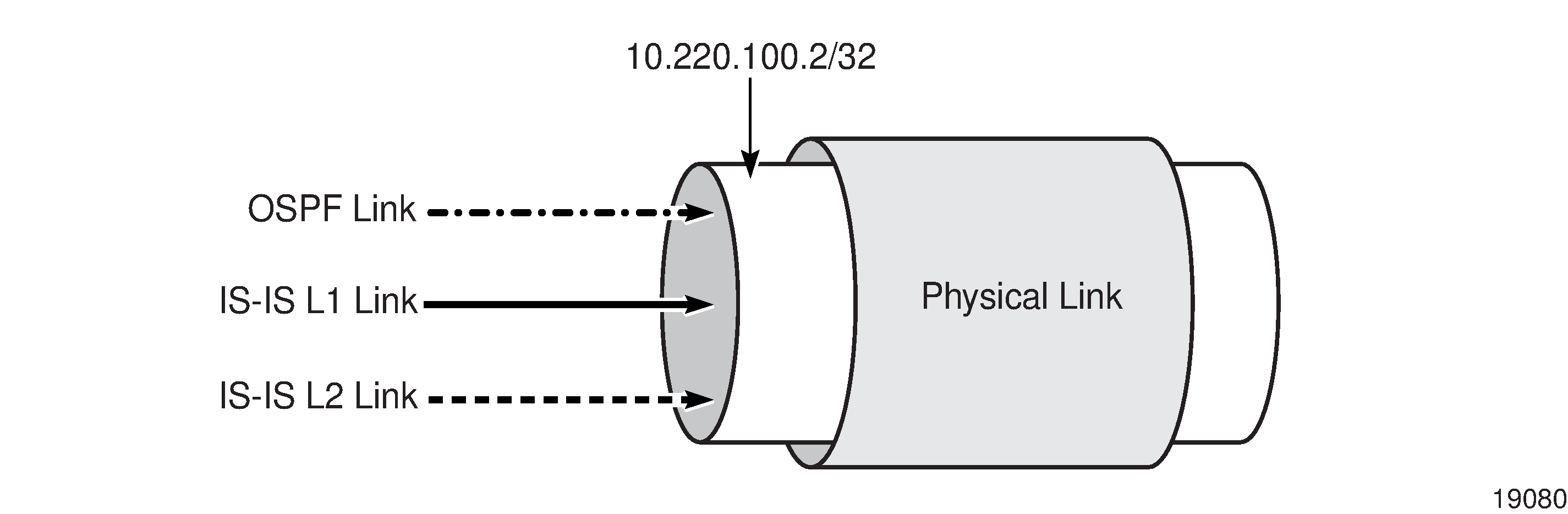 Multiple IGP links on an interface