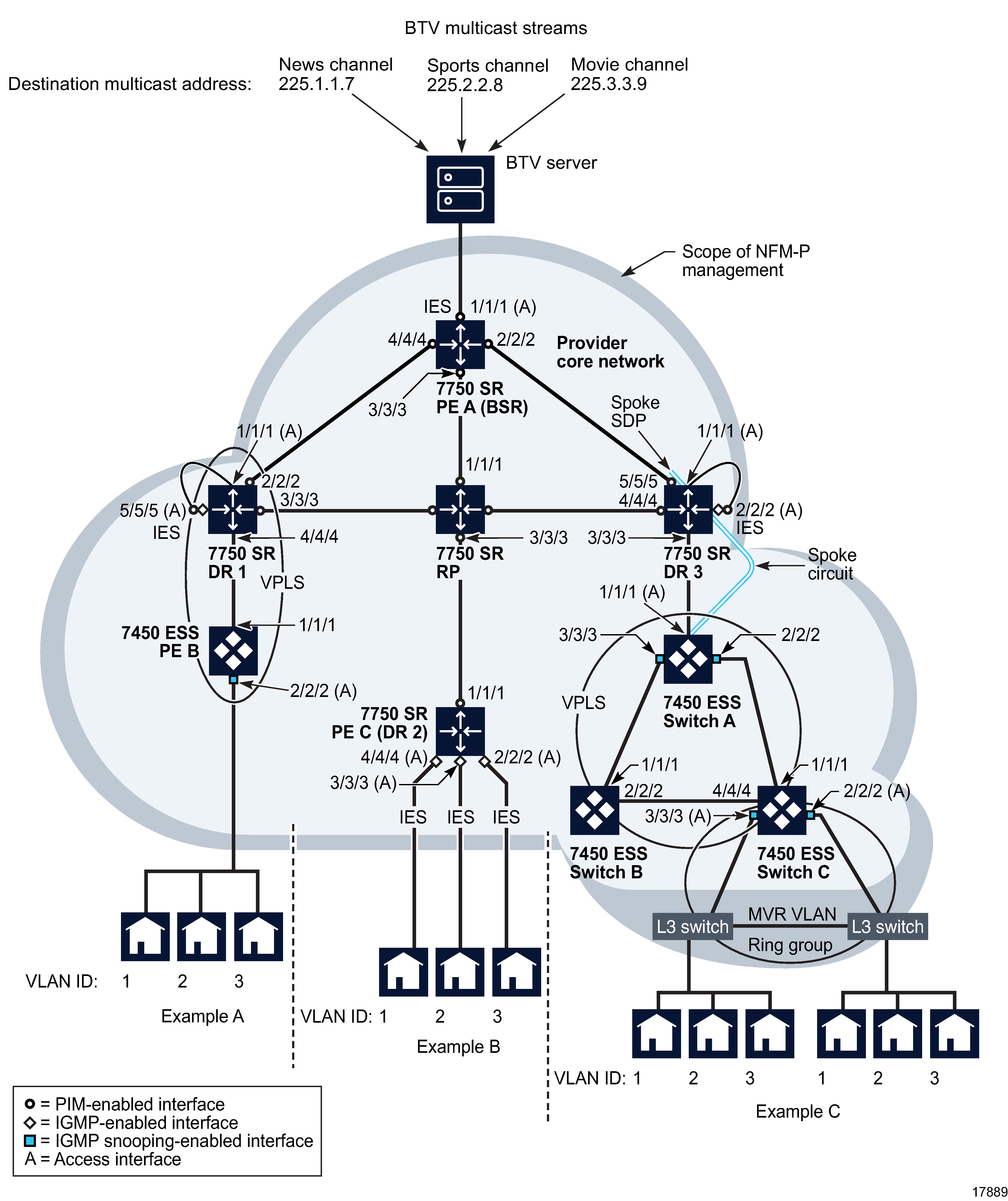 BTV multicast delivery examples