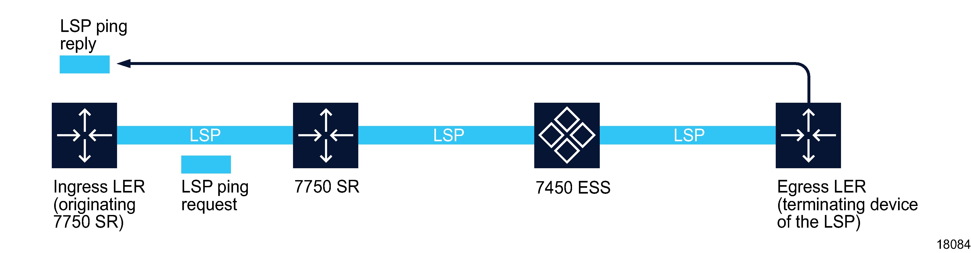 LSP ping OAM diagnostic test