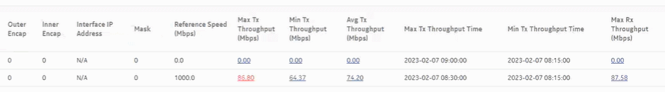 Ports and Interfaces Utilization Summary report