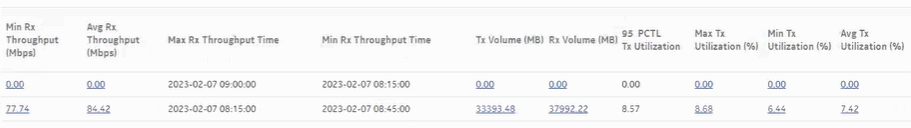 Ports and Interfaces Utilization Summary report