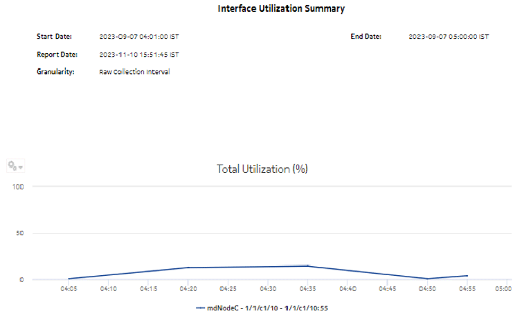 Interface Utilization Summary report