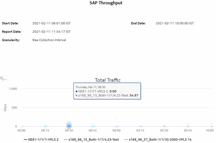 SAP Throughput report