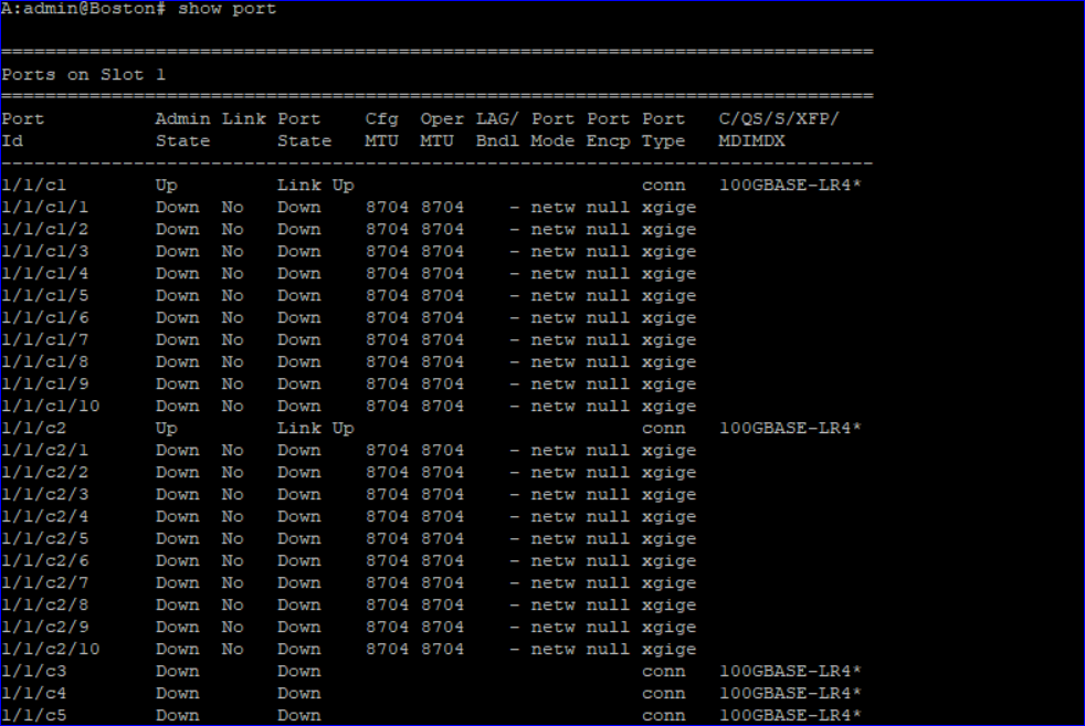 NE CLI check after deployment