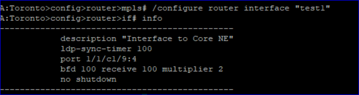 NE CLI after deployment