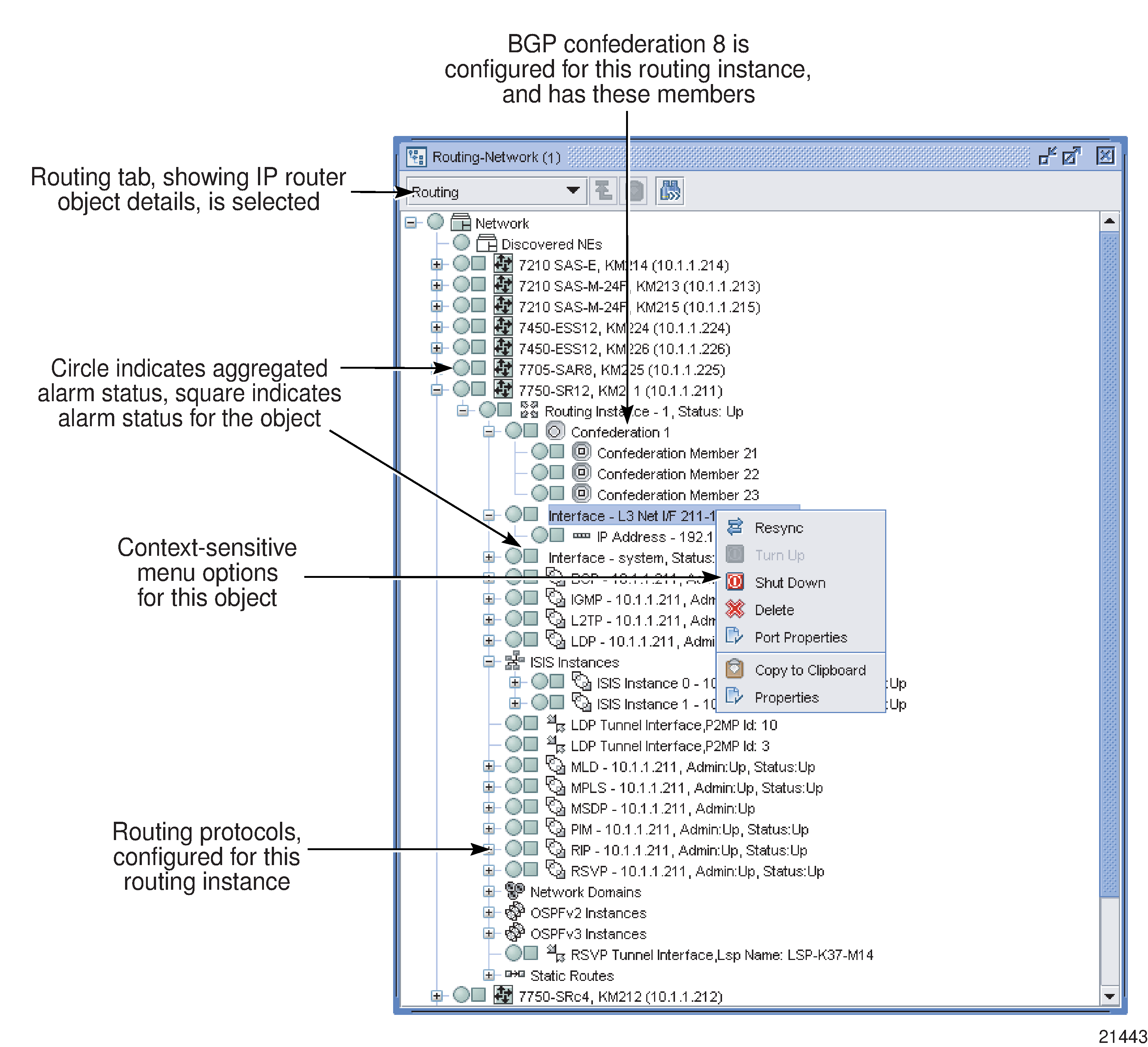 BGP in the navigation tree network view