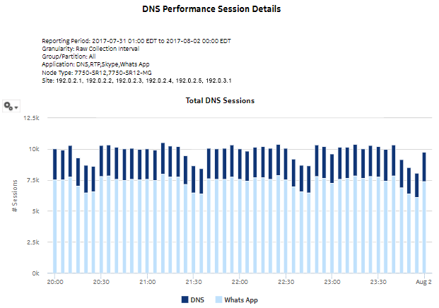 DNS Performance Session Details report DNS Performance Session Details report
