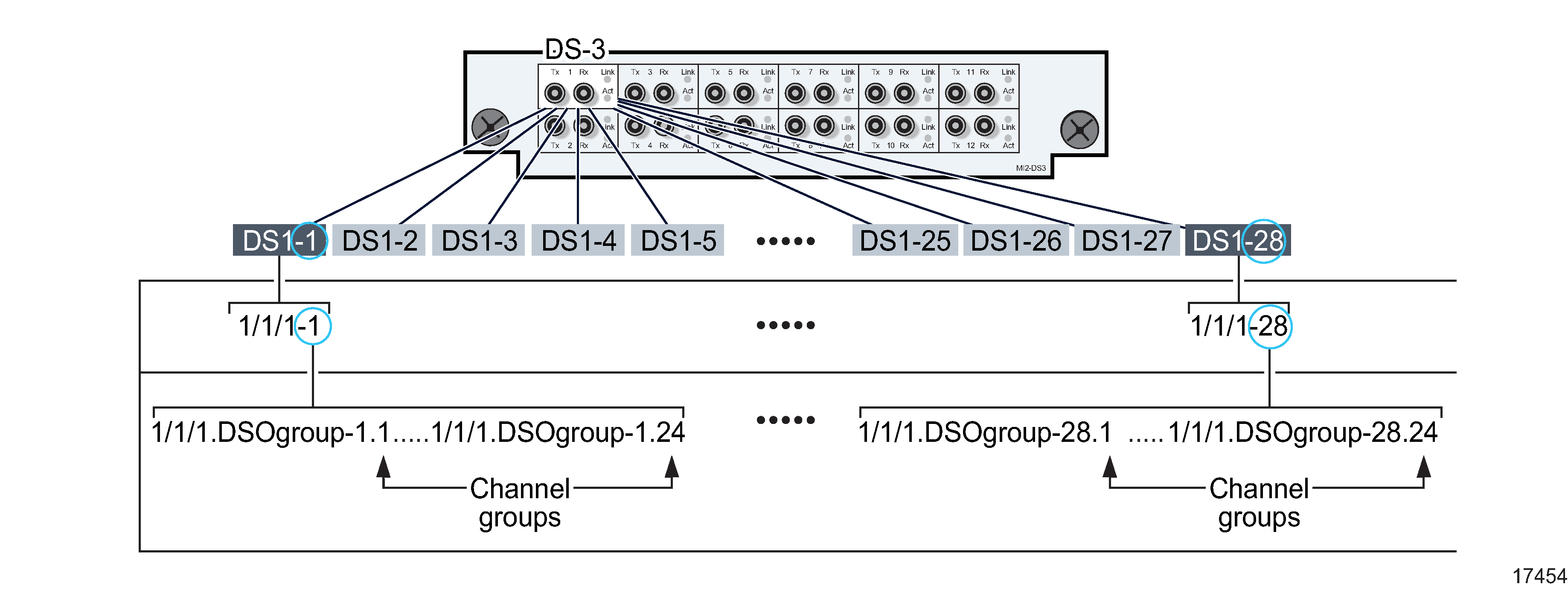 Channelized 12 × DS3 port structure for DS1 Channels Channelized 12 × DS3 port structure for DS1 Channels