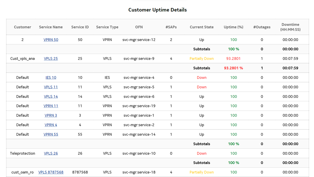Customer Uptime Summary report