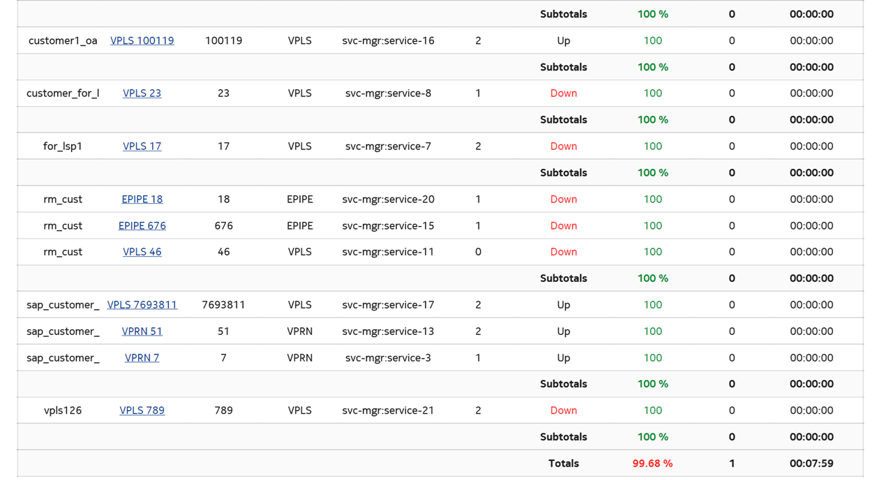 Customer Uptime Summary report