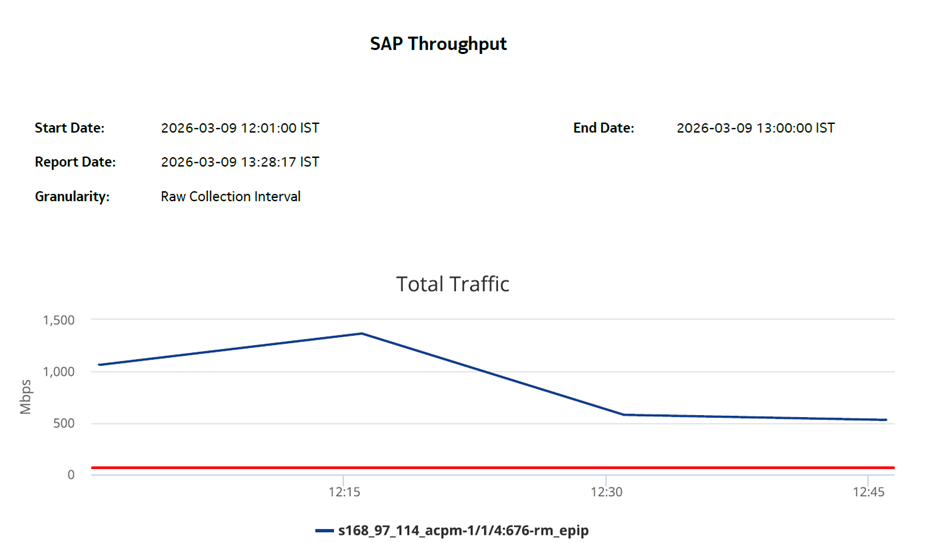 SAP Throughput report